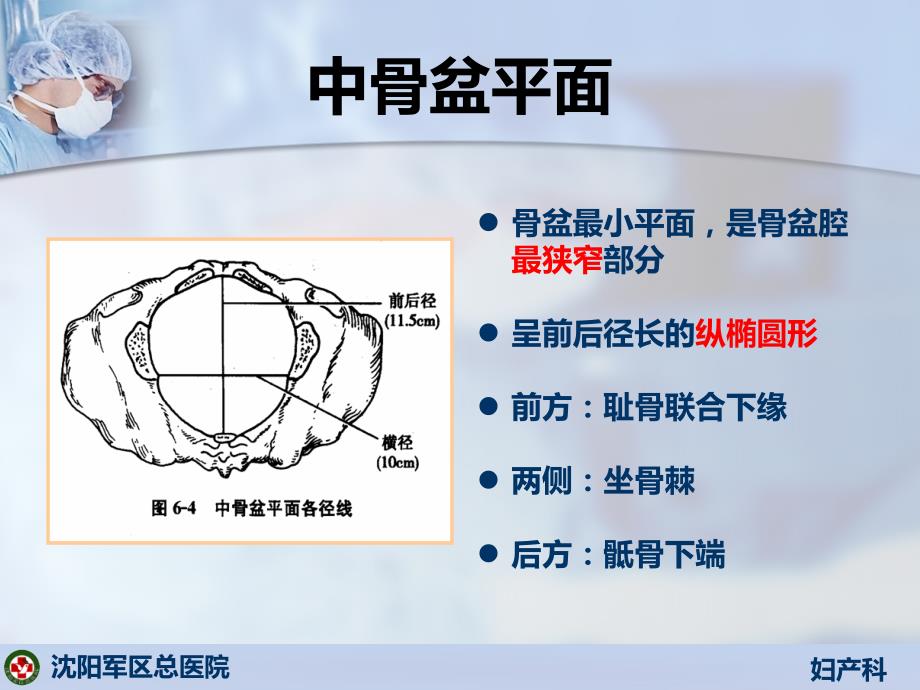 分娩机制PPT课件_第4页