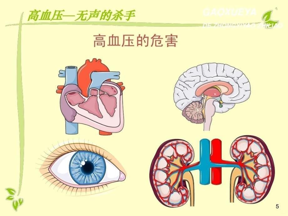 高血压用药护理PPT课件_第5页