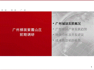 广州梯面紫霞山庄前期调研报告电子教案