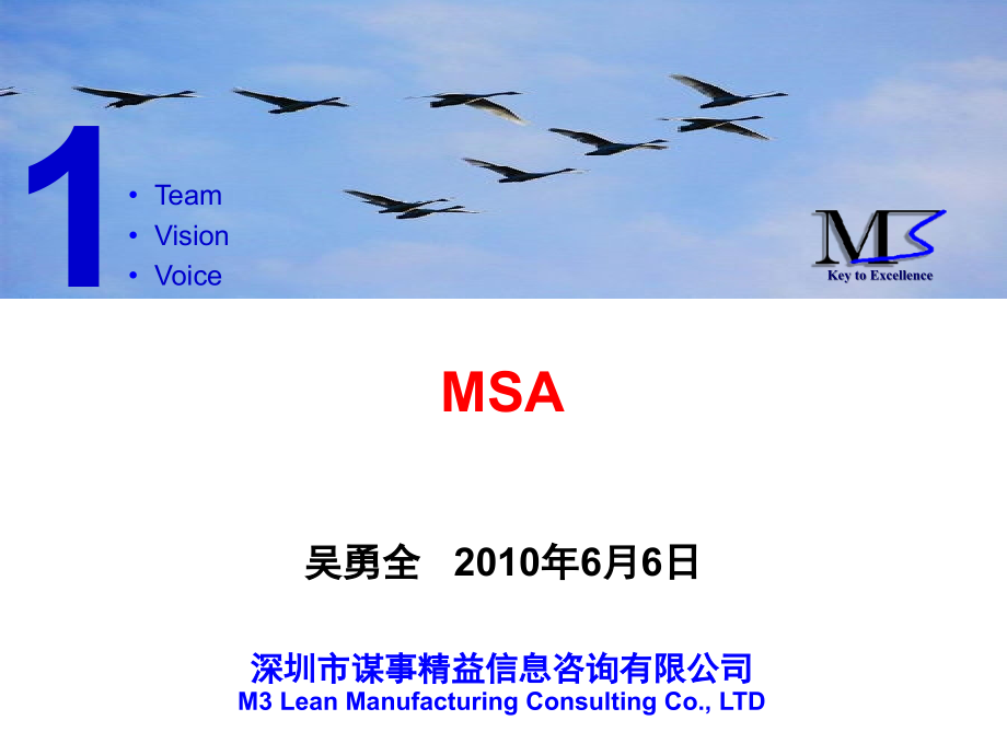 MSA培训(新)教学教材_第1页