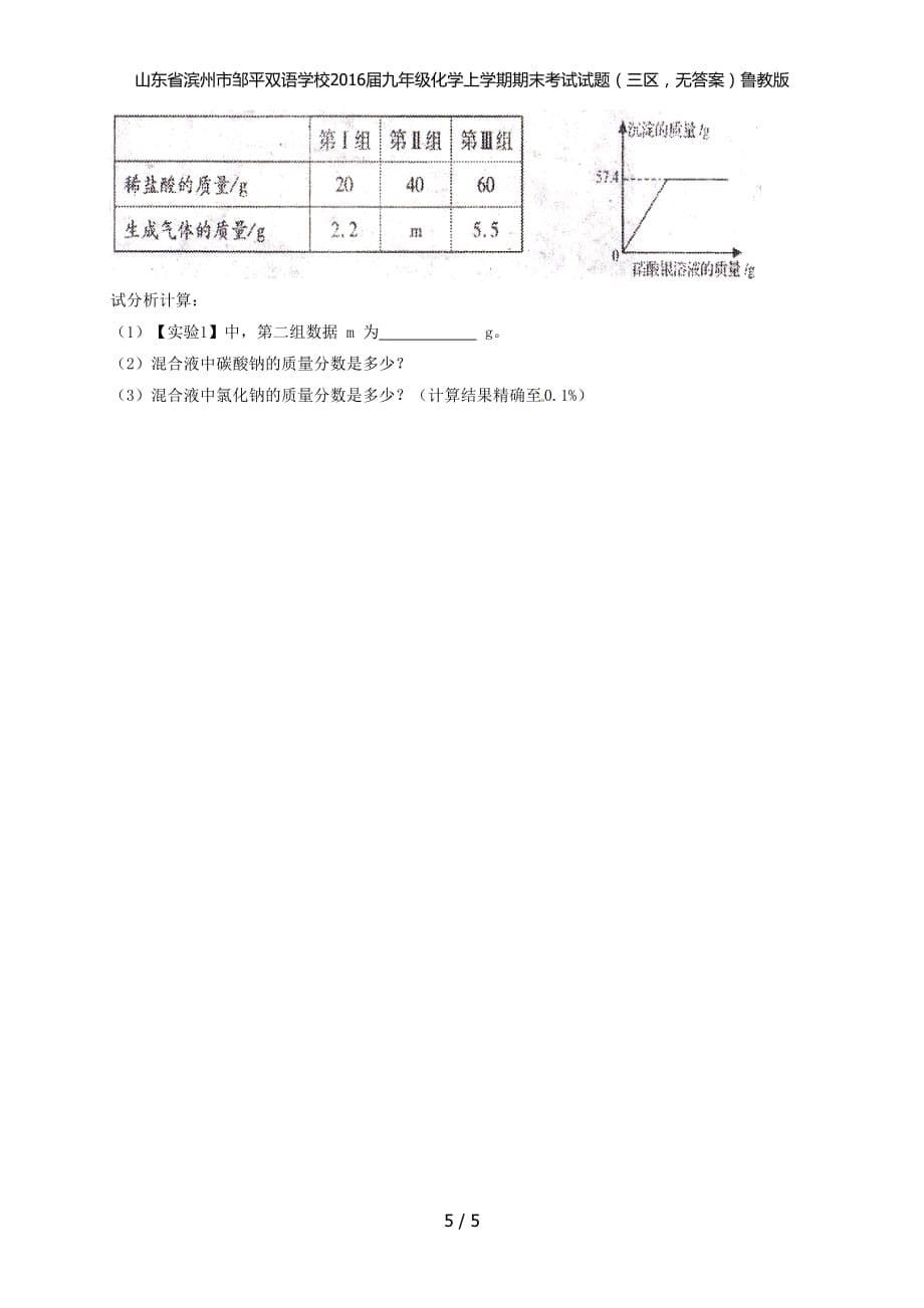 九年级化学上学期期末考试试题（三区无答案）鲁教版_第5页