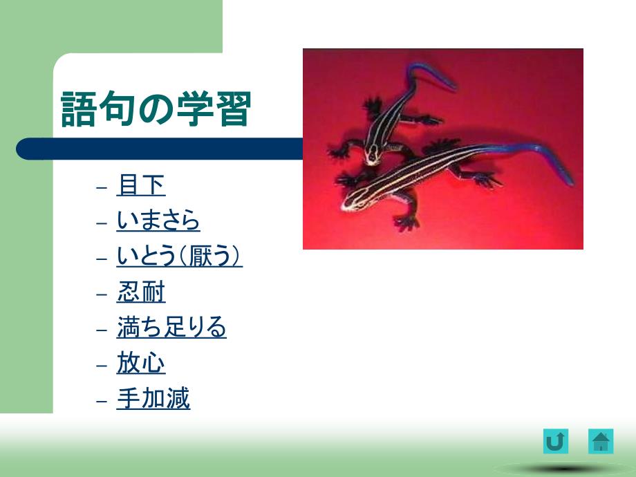 第六課　いのち 日语综合教程（第六册）演示教学_第3页