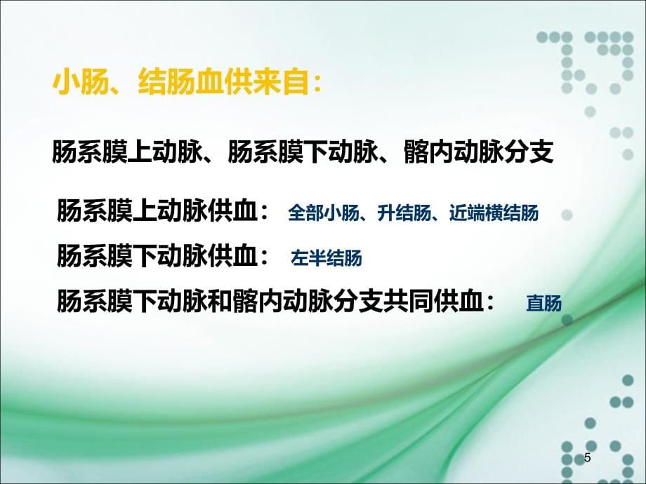 缺血性肠病所致的消化道出血PPT课件_第5页