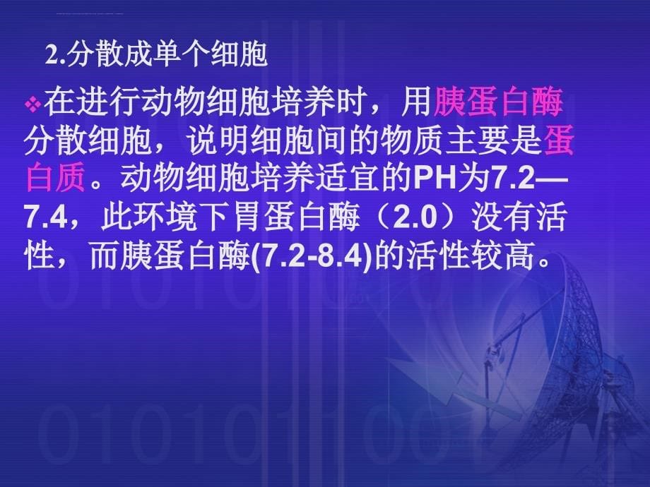 植物细胞工程和动物细胞工程的比较_第5页