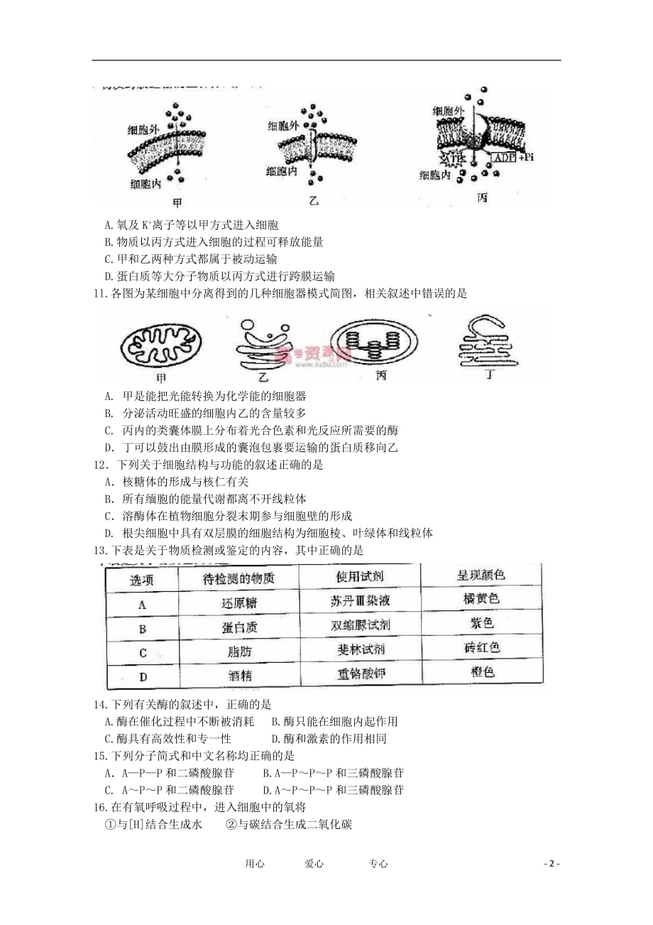 北京市朝阳区11-12学年高二生物上学期期末考试试题（无答案）.doc_第2页