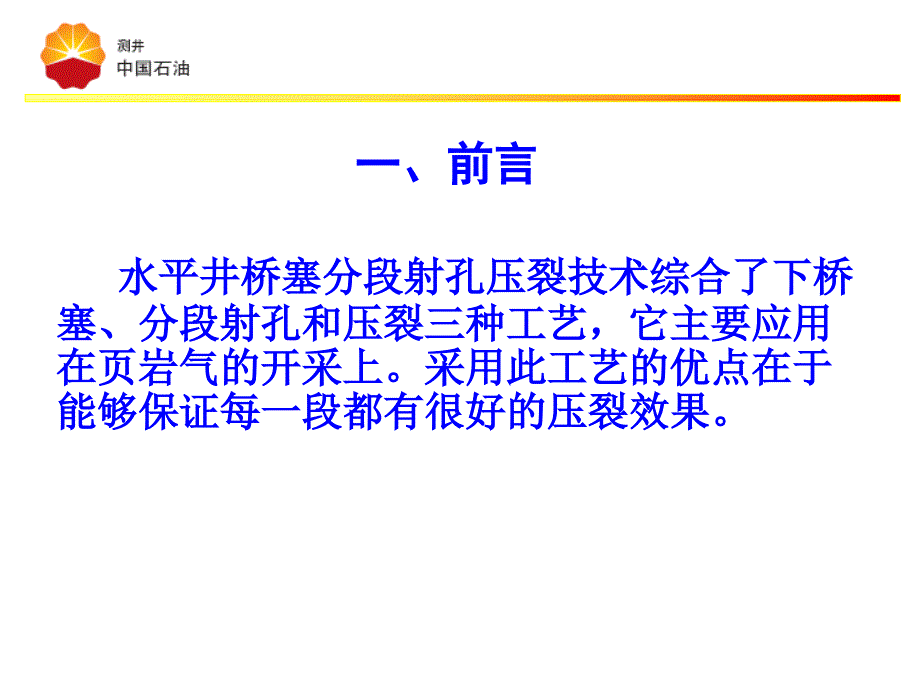 水平井泵送桥塞分层射孔压裂技术 2013_第3页