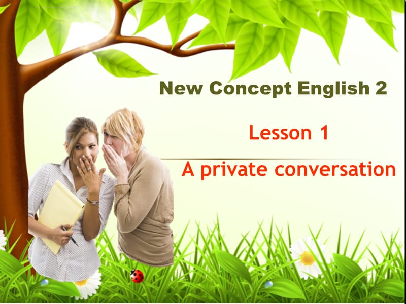 新概念第二册Lesson 1 A private conversation 课件_第2页