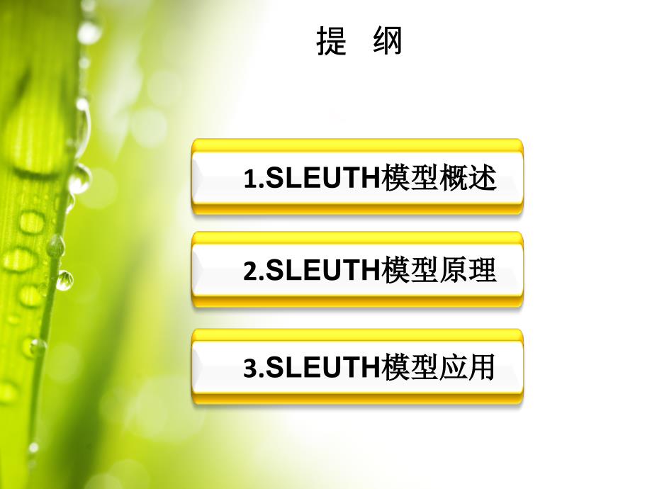 SLEUTH模型简介及应用电子教案_第2页