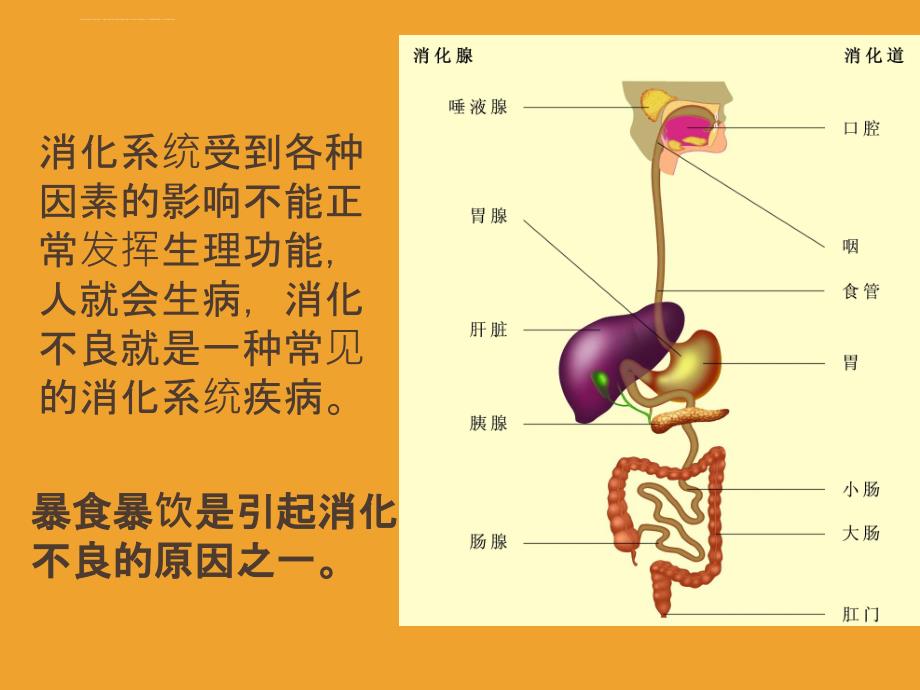 暴饮暴食引起消化不良的原因_第2页