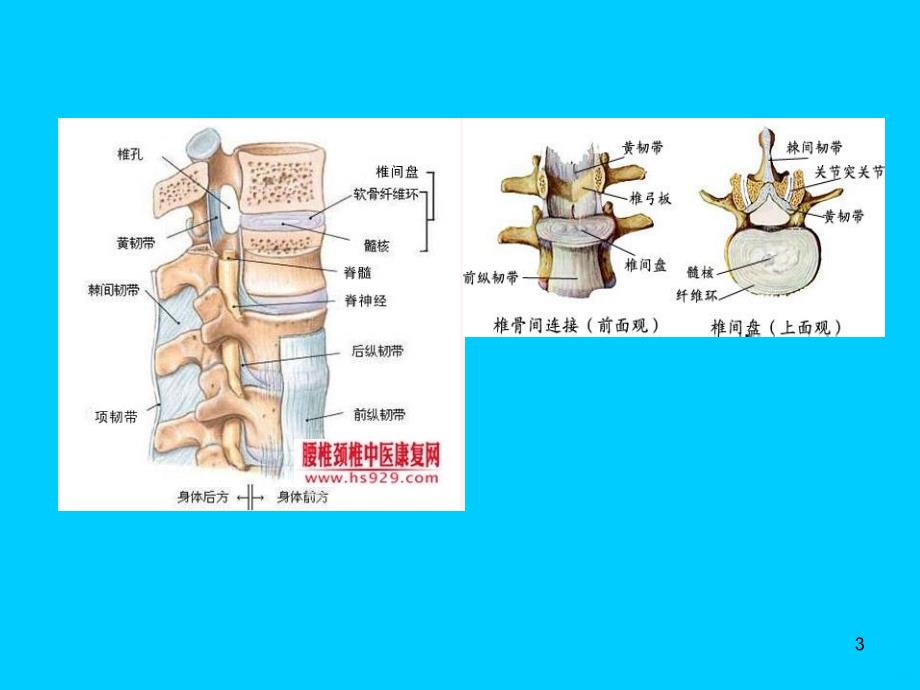 颈椎骨科检查幻灯片素材PPT课件_第3页