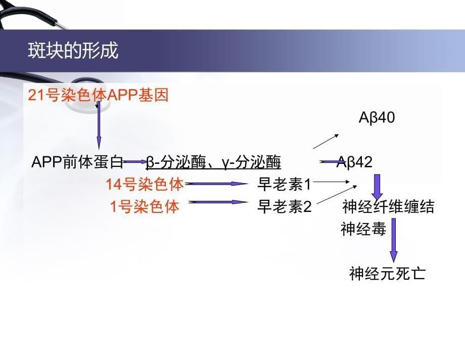 阿尔海默茨氏综合症(老年性痴呆)PPT课件_第5页