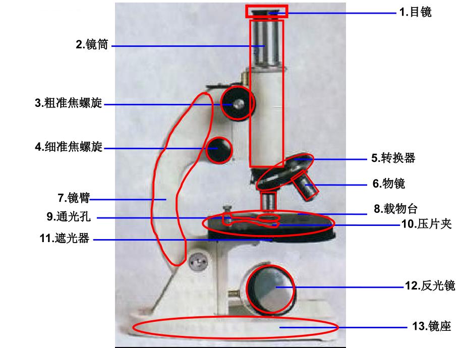 显微镜最终版_第2页