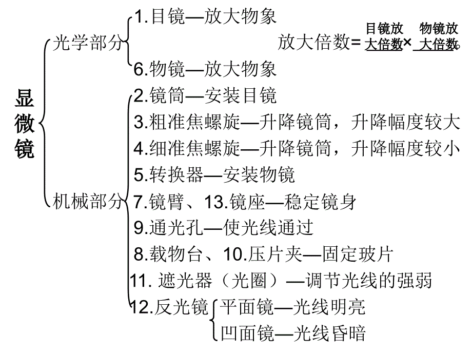 显微镜最终版_第3页