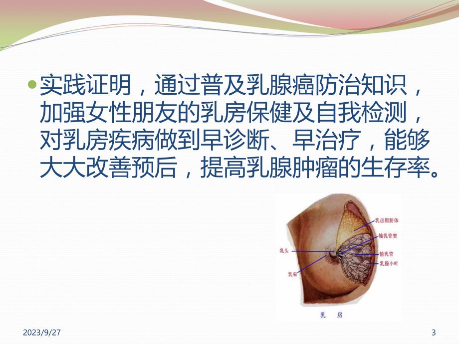 乳腺疾病科普讲座PPT课件_第3页