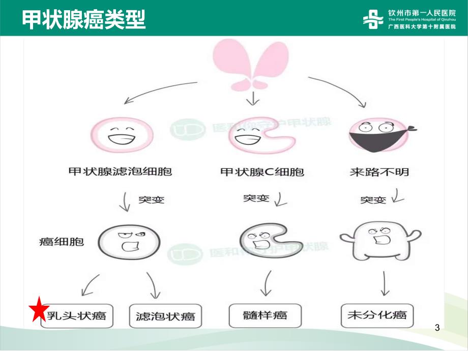 甲状腺癌术后饮食指导PPT课件_第3页