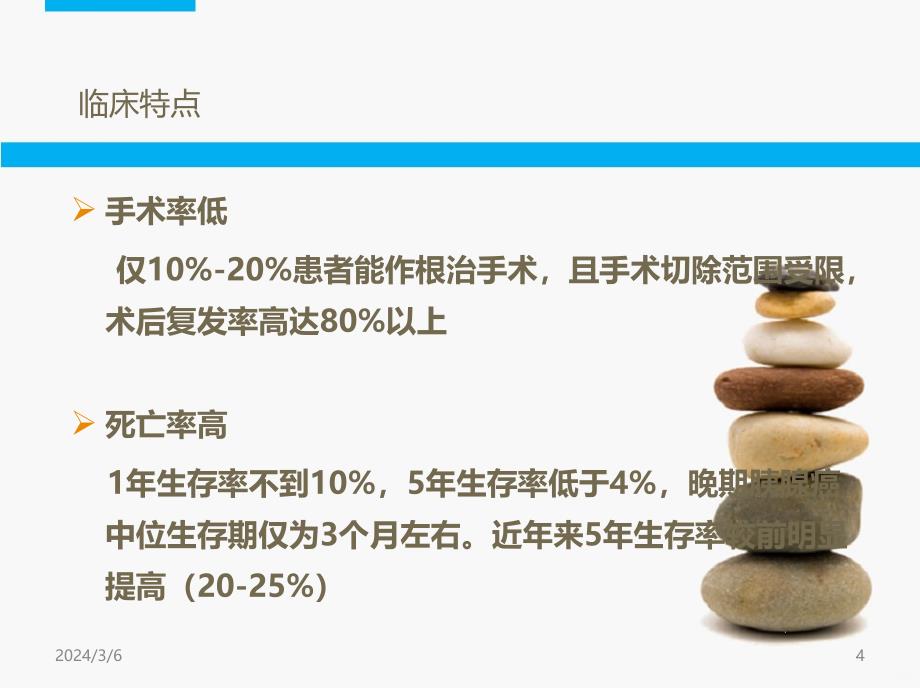 胰腺癌的化疗方案资料PPT课件_第4页