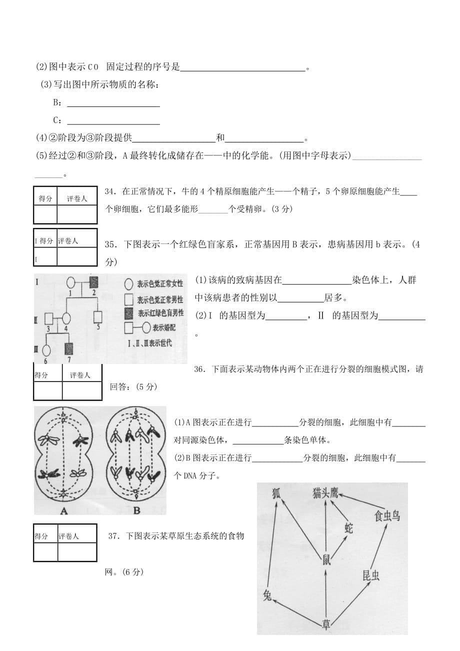 福建高中生物会考练习题.doc_第5页