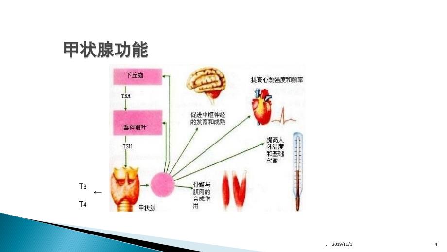 甲状腺癌相关知识PPT课件_第4页