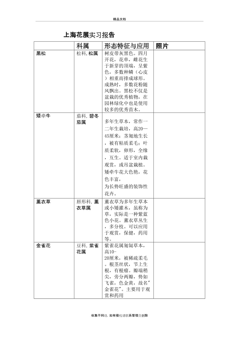 上海植物园草本花卉种类培训讲学_第2页