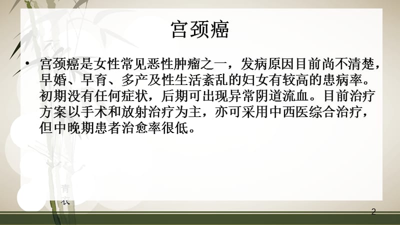 宫颈癌解剖及相关知识PPT课件_第2页