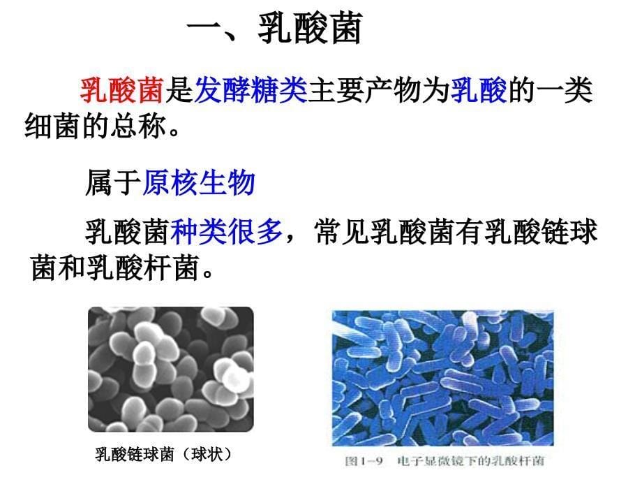 制作泡菜并检测亚硝酸盐含量[42页]_第5页