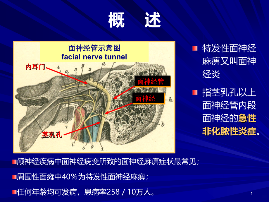 面神经麻痹六法PPT课件_第1页