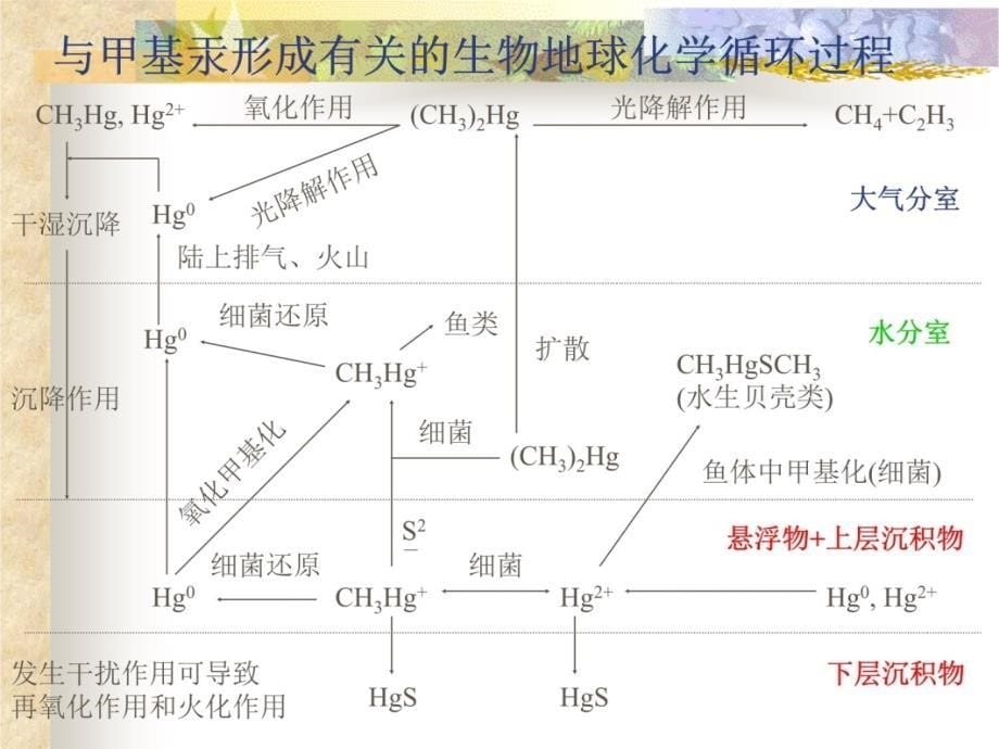 生命必需元素轻微有毒元素和有毒元素说课讲解_第5页