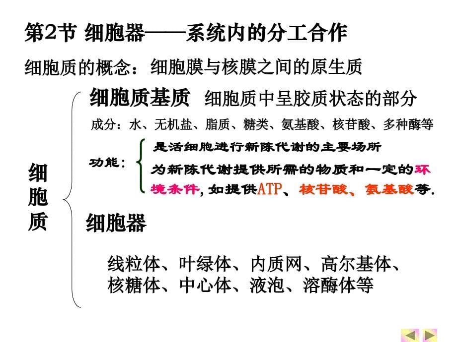 一轮复习细胞器教学内容_第5页