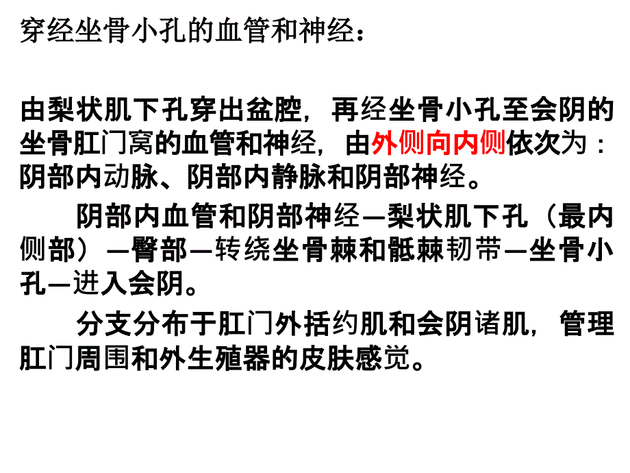 下肢体表标志及重要结构复习进程_第4页