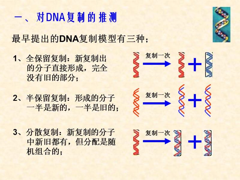 生物dna的复制人教版必修讲课资料_第3页