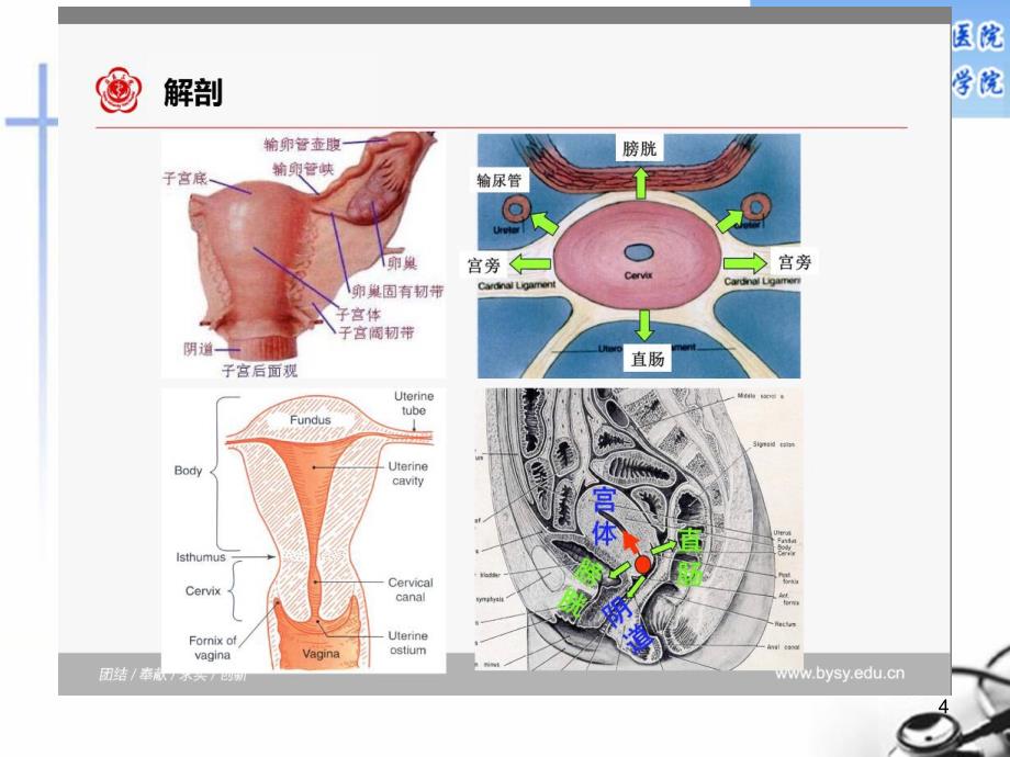 宫颈癌放疗PPT课件_第4页