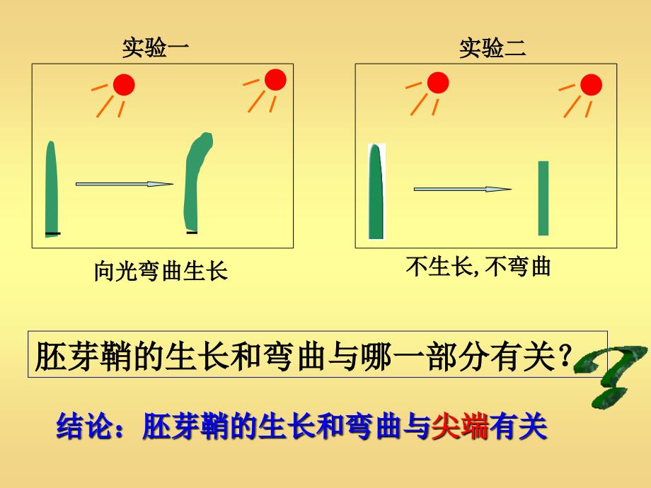 生物31植物生长素的发现最终教案资料_第4页