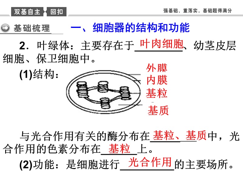 一轮复习：细胞器及生物膜系统复习过程_第3页