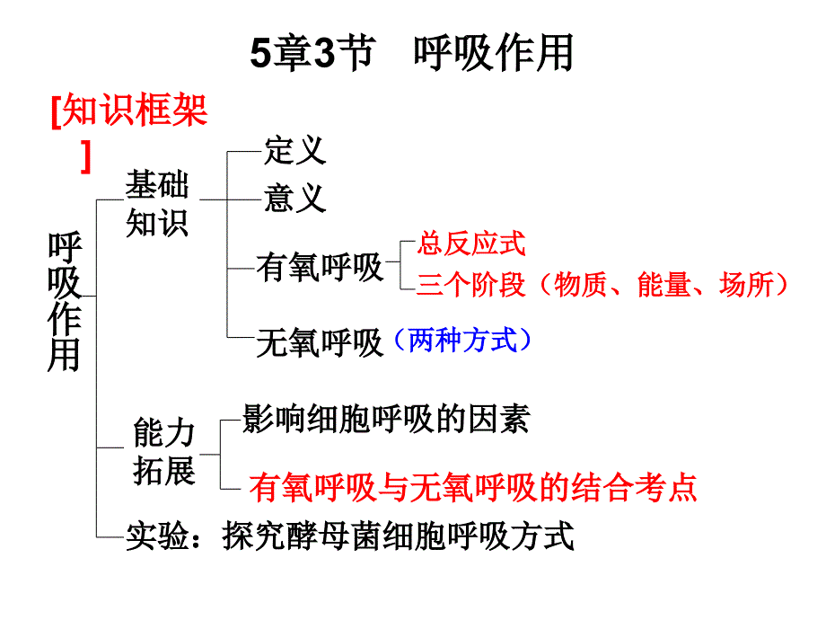 一轮复习课件——呼吸作用资料_第1页