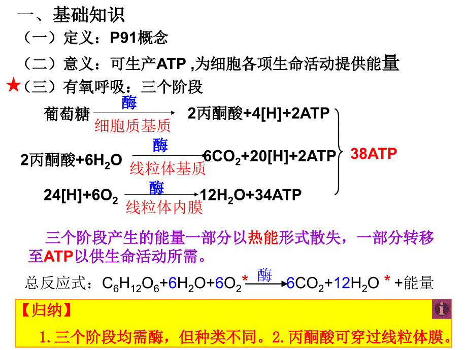 一轮复习课件——呼吸作用资料_第2页