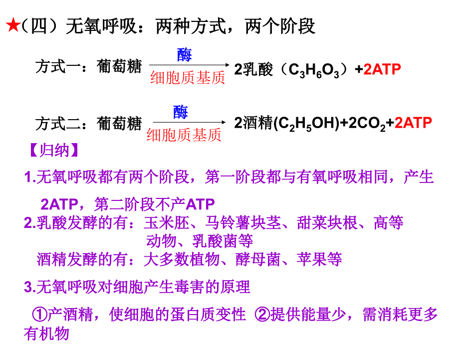 一轮复习课件——呼吸作用资料_第3页