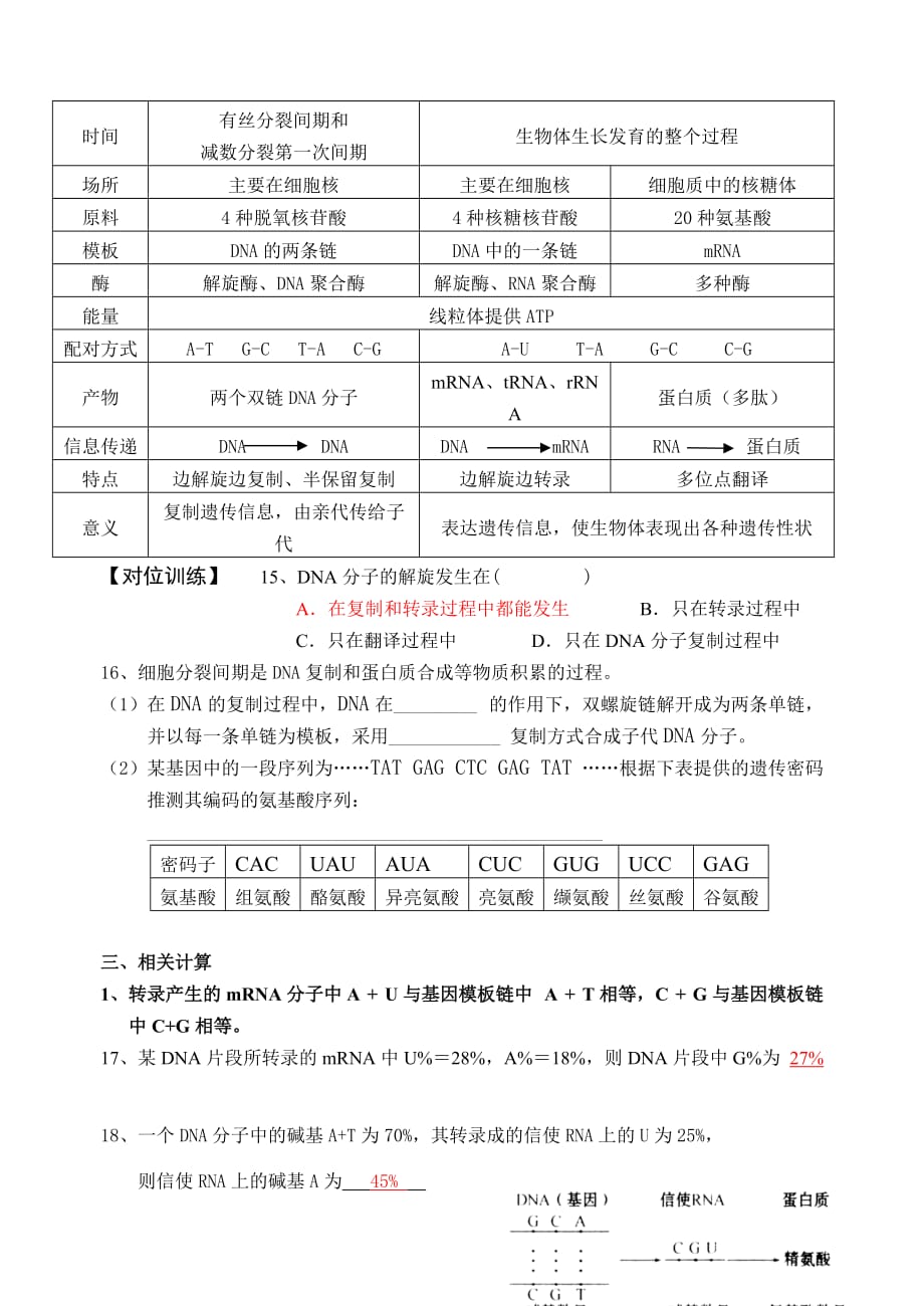 高考生物一轮复习——基因的表达.doc_第4页