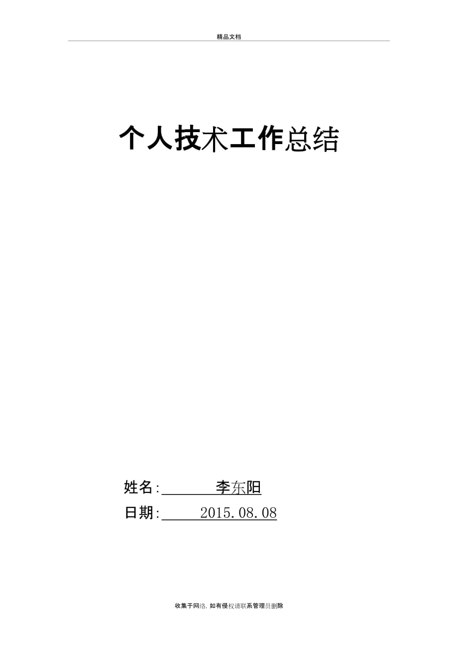 个人技术工作总结52479word版本_第2页