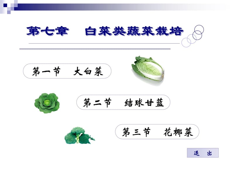 七章白菜类蔬菜栽培教学文稿_第2页