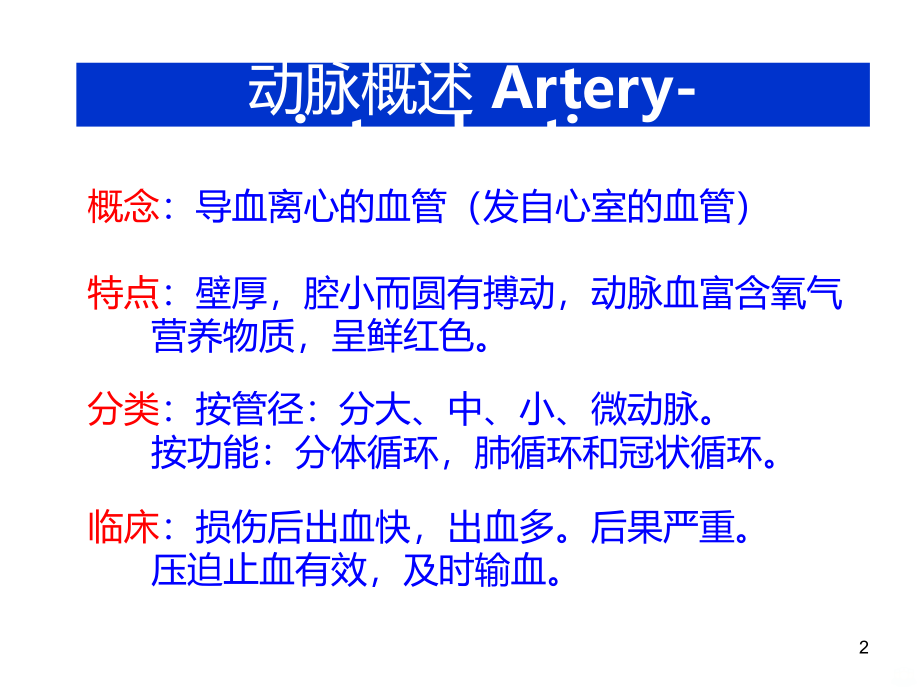 动脉、静脉、淋巴系统PPT课件_第2页