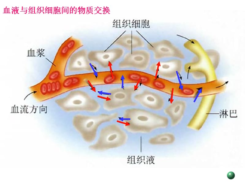 认识结构演示教学_第2页