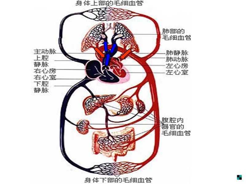 认识结构演示教学_第3页