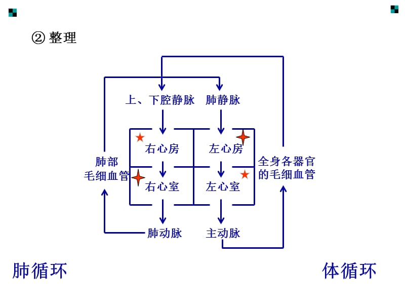 认识结构演示教学_第4页