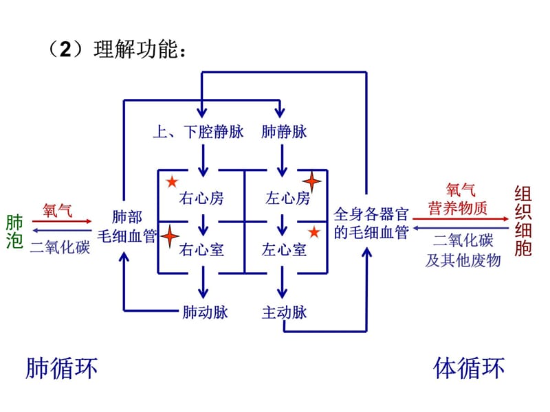 认识结构演示教学_第5页