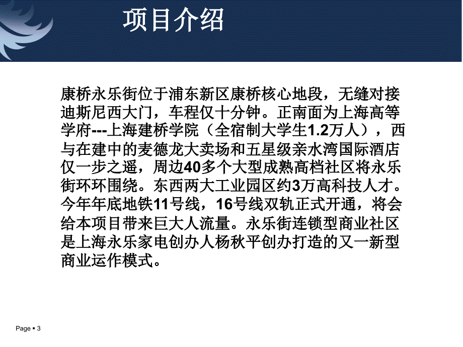 康桥永乐街商铺介绍教材课程_第3页