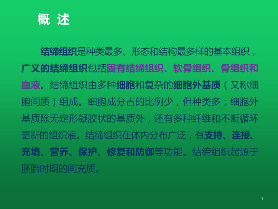 组织胚胎学 结缔组织PPT课件_第4页