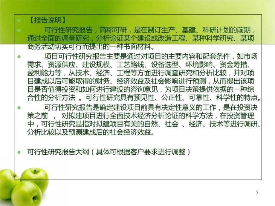 汽车刮水器总成项目可行性报告提纲电子教案_第5页