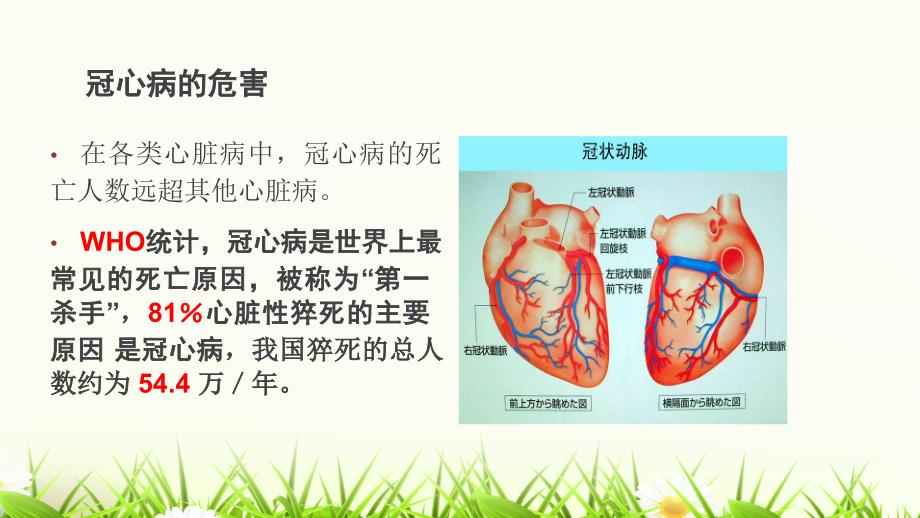 中医药养生保健治疗冠心病教学教材_第2页