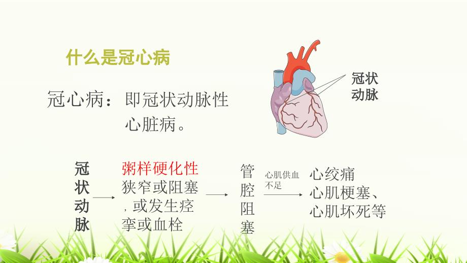 中医药养生保健治疗冠心病教学教材_第4页