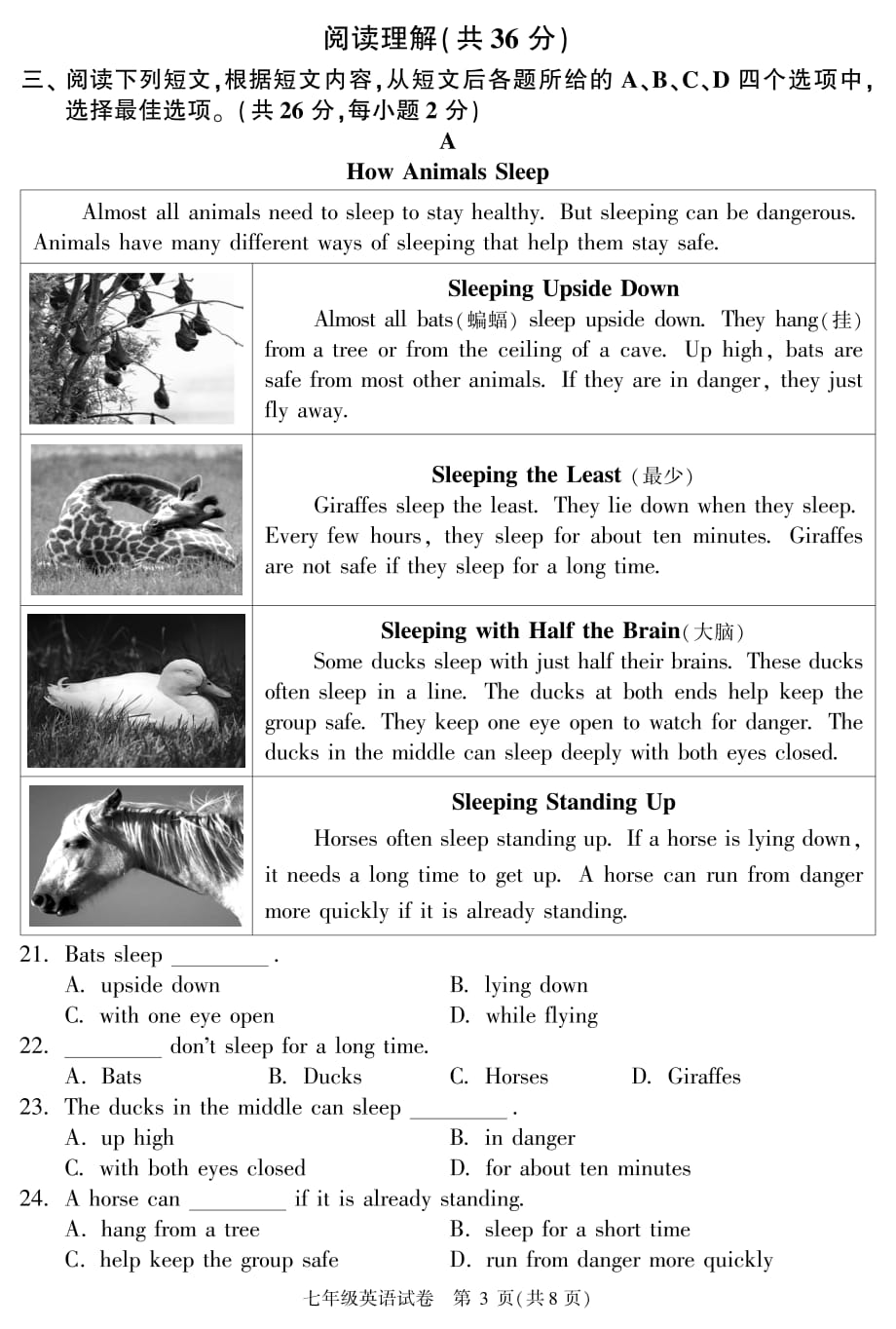 七年级英语试卷(1)_第3页